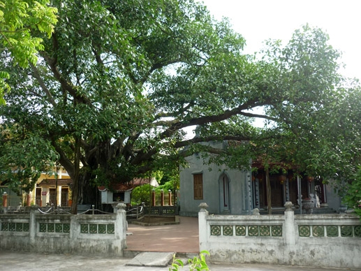 Cây đa và Đền La Tiến