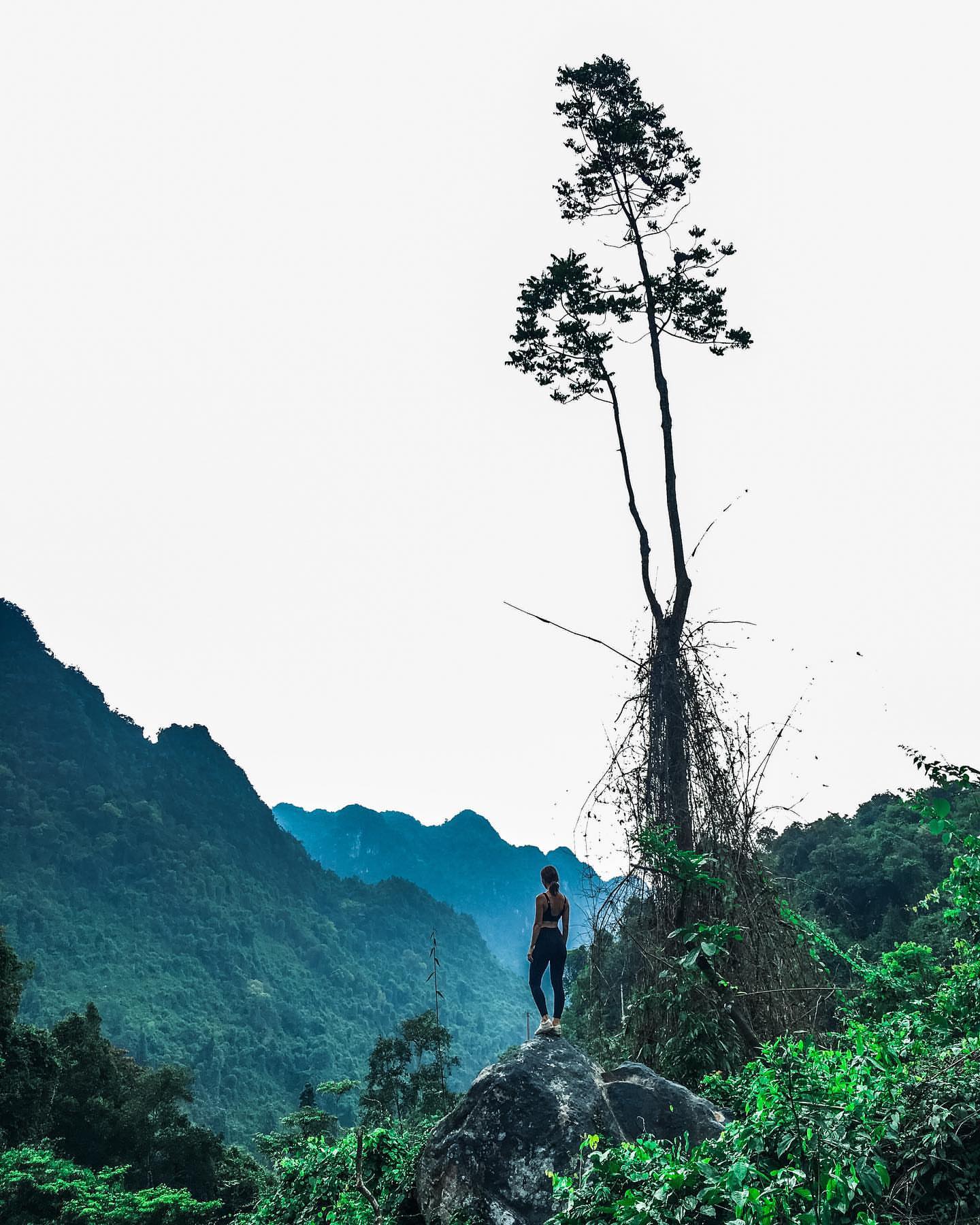 Vườn thực vật Phong Nha