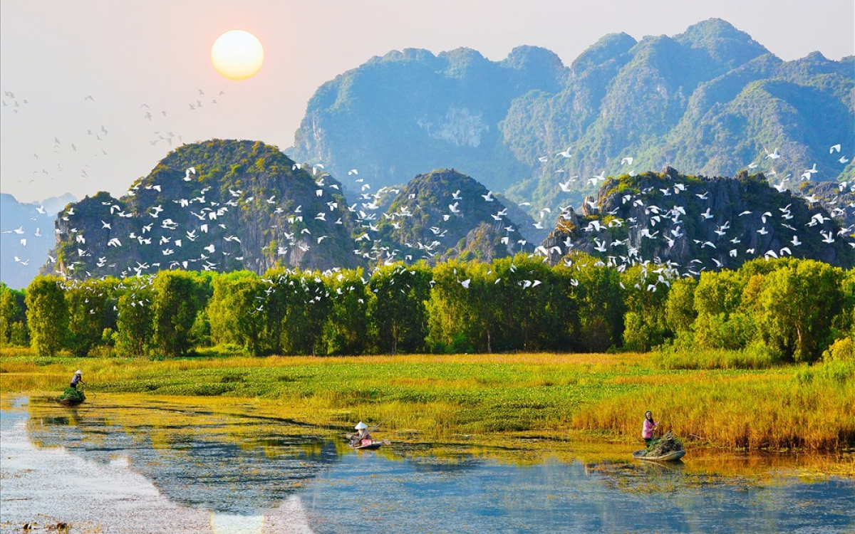 Vườn chim Thung Nham chốn làng quê yên bình