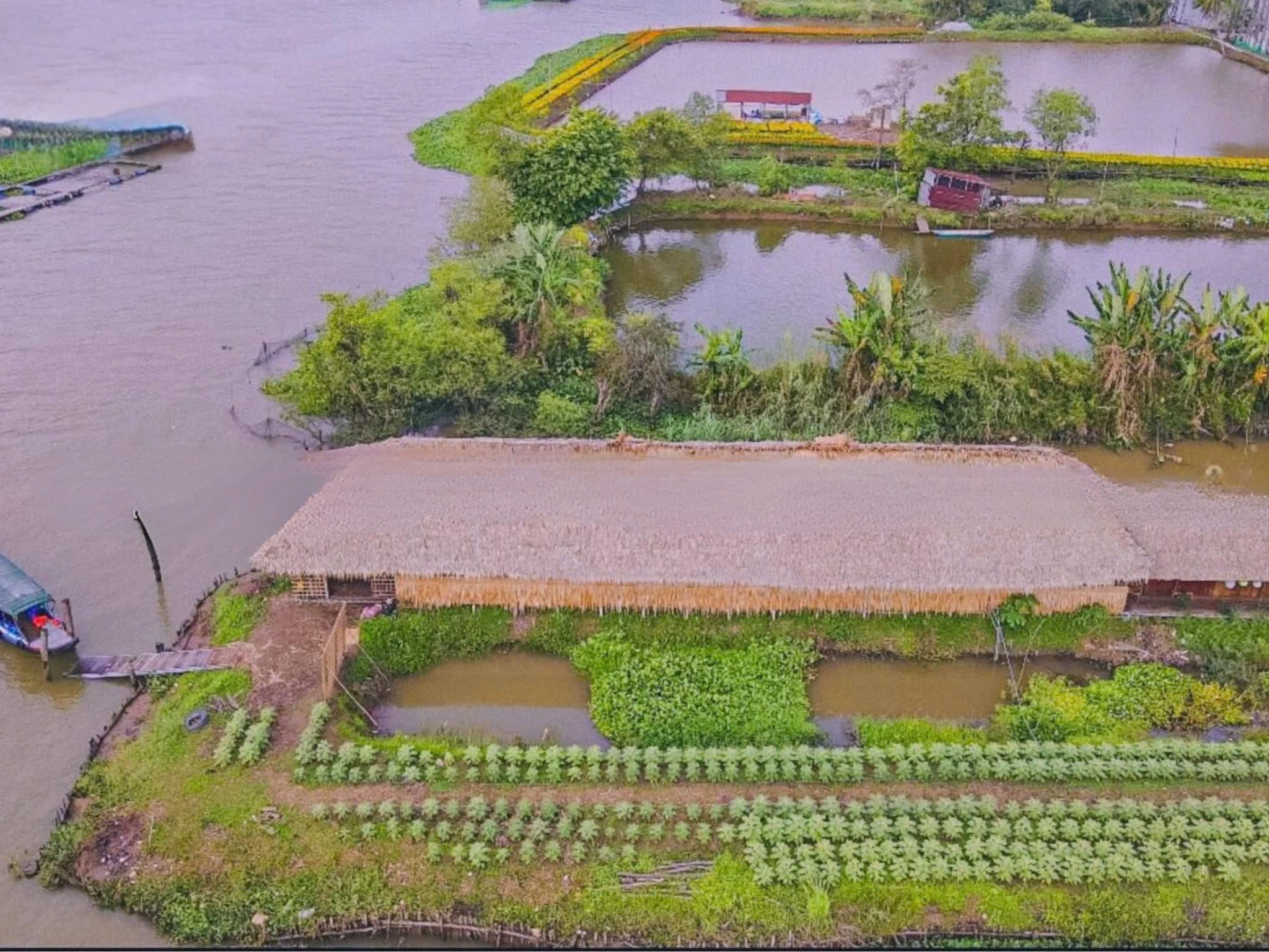 Nơi đây được bao phủ bởi hệ sinh thái chan hòa thiên nhiên với nhiều các cây ăn quả, đồng ruộng, những con sông,… mang đậm chất quê
