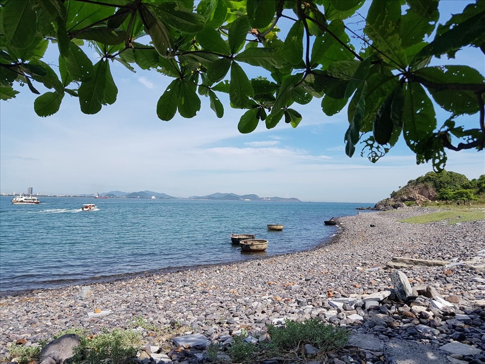Đảo Hòn Ngư