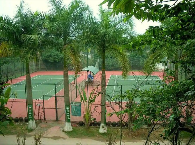 Khu du lịch sinh thái Cọ Xanh có đến 2 sân Tennis đạt chuẩn quốc tế phục vụ khách du lịch.