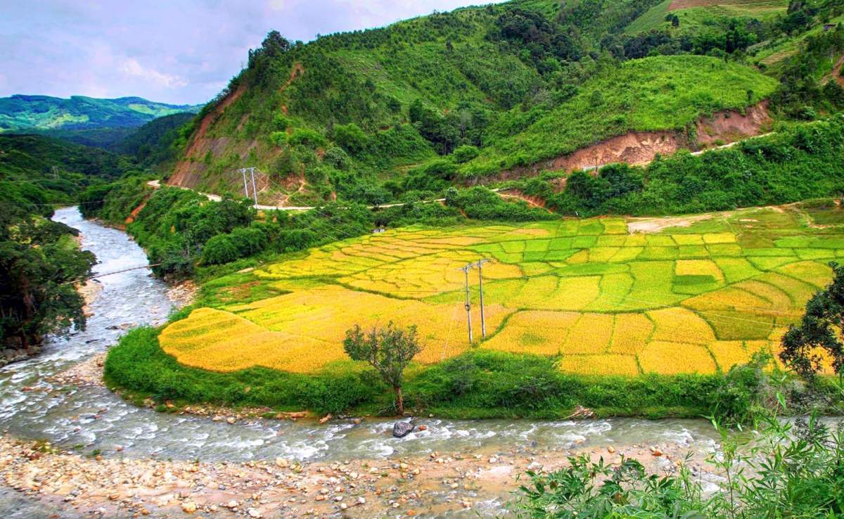 Măng Ri vào mùa lúa chín những ngày cuối tháng 10.