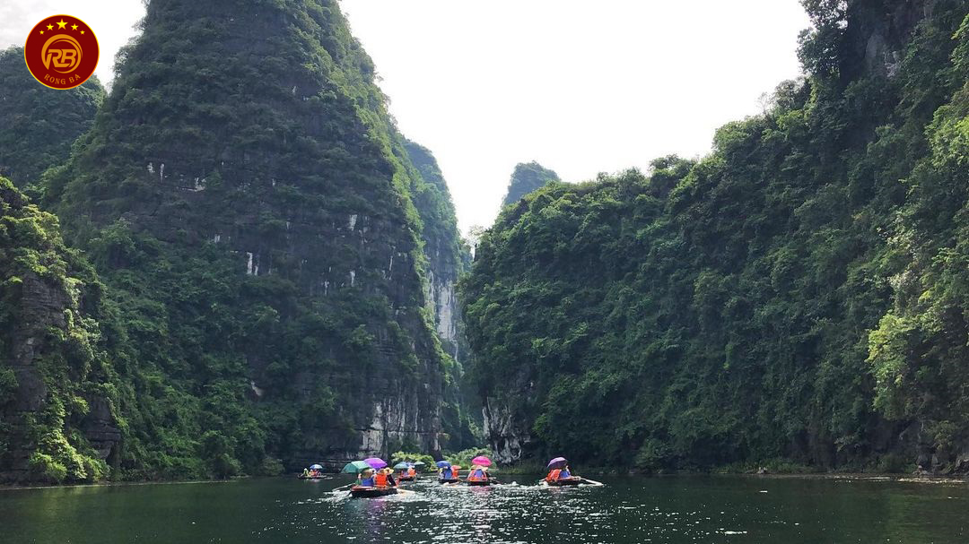 Kẽm Trống
