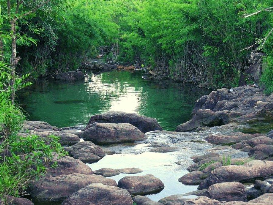 Suối Trúc