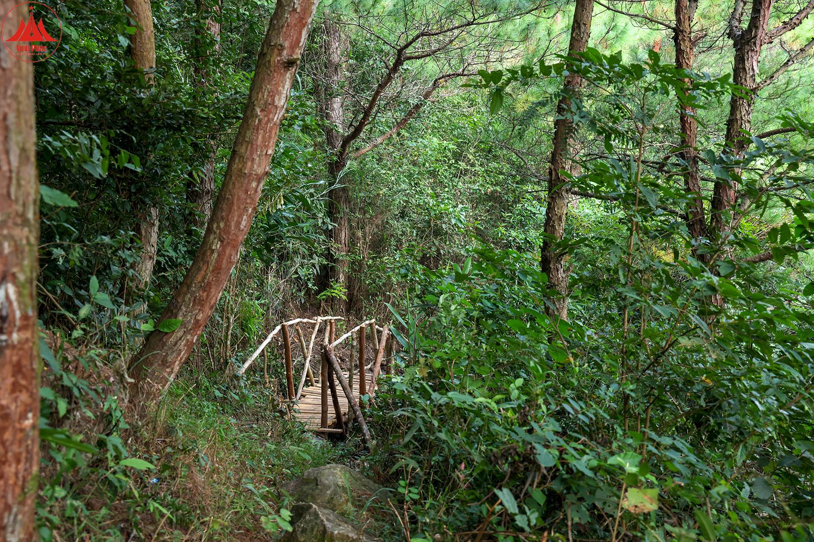 Hồ Xạ Hương