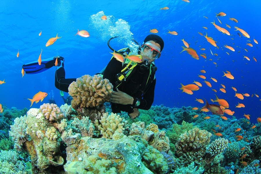 Thiên Đường Biển Của Quy Nhơn Kỳ Co - Eo Gió