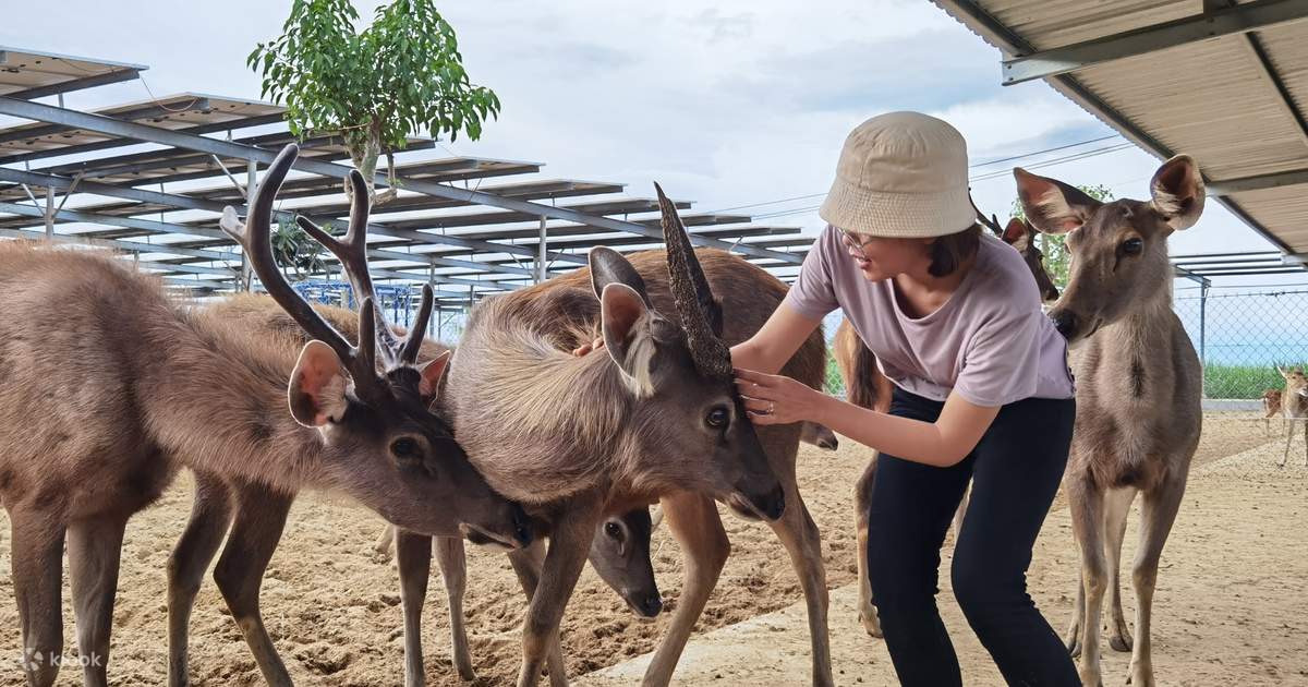 Vườn thú Zoodoo Phan Rang