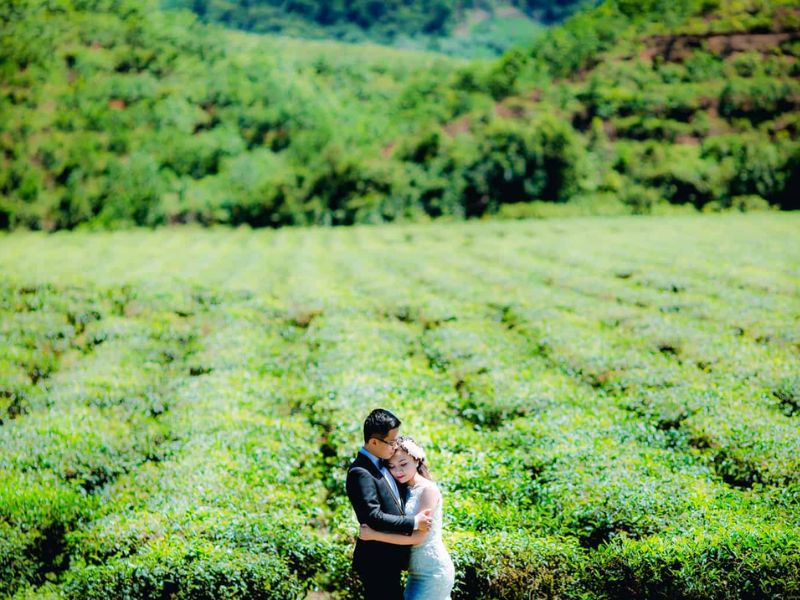 Đồi chè Đông Giang