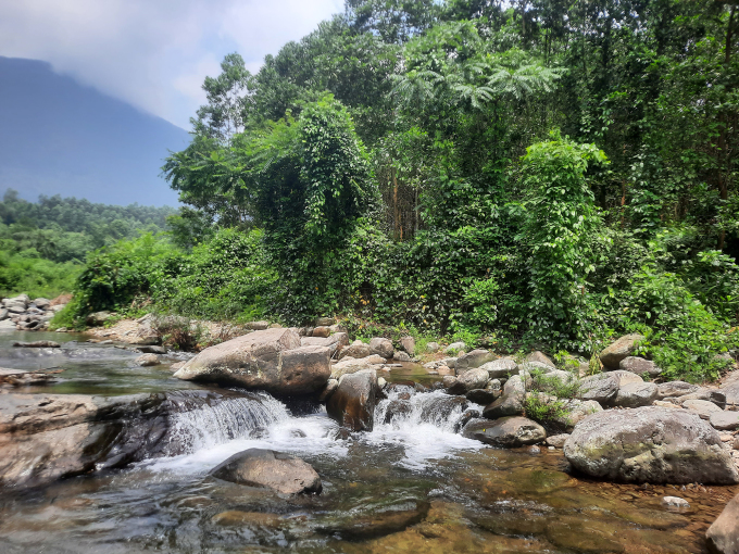 Ở đây, nước tương đối nông, không quá sâu.