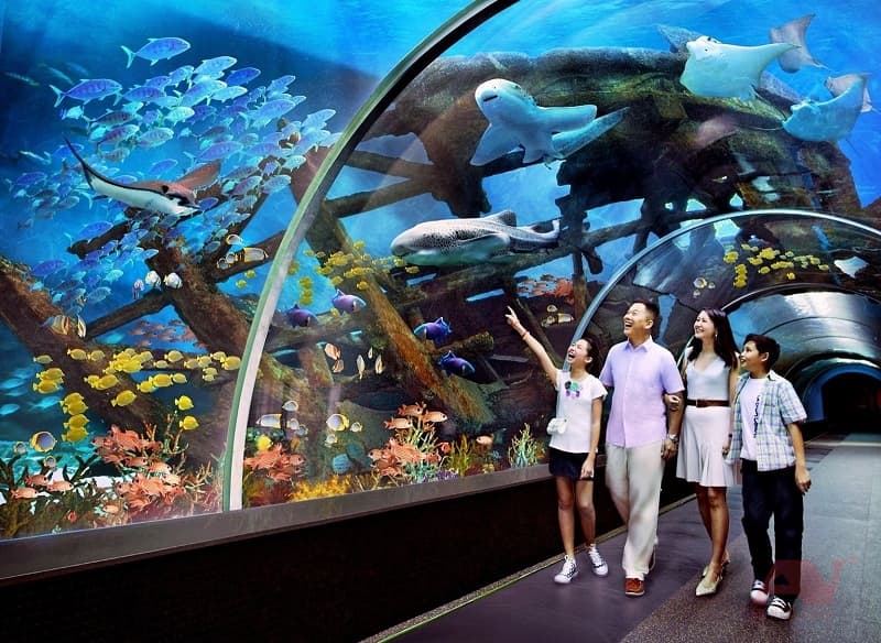 Thủy cung Vinpearl Nha Trang