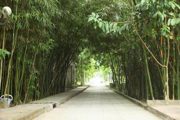 Hành hương về đền Trúc Hà Nam tìm về ký ức lịch sử hào hùng