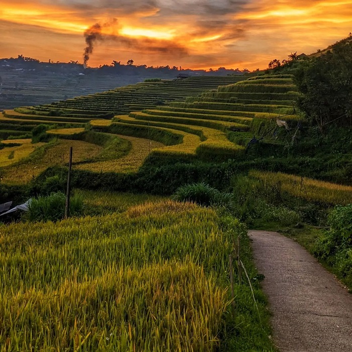Vẻ đẹp của bản Tả Lèng mùa lúa chín .