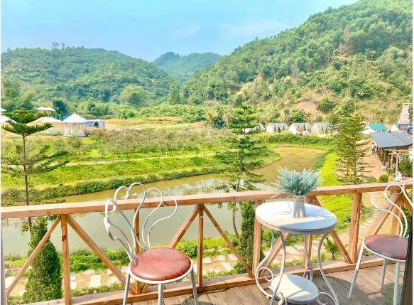 Larita Hoa Binh Apricot Grass Hill