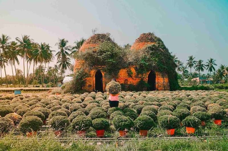 Vườn trái cây Cái Mơn