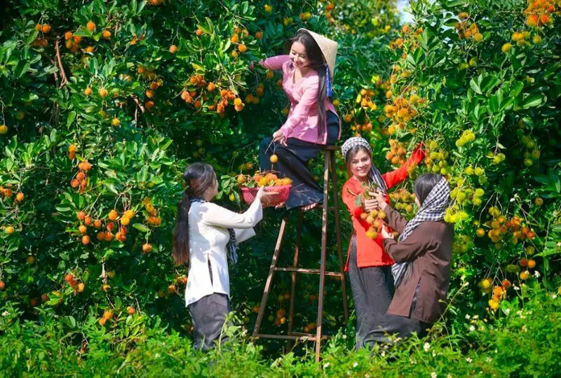 Nếu đến đây vào khoảng thời gian từ tháng 6 đến tháng 8, du khách sẽ có thể thưởng thức các loại trái cây thơm ngon, bổ dưỡng