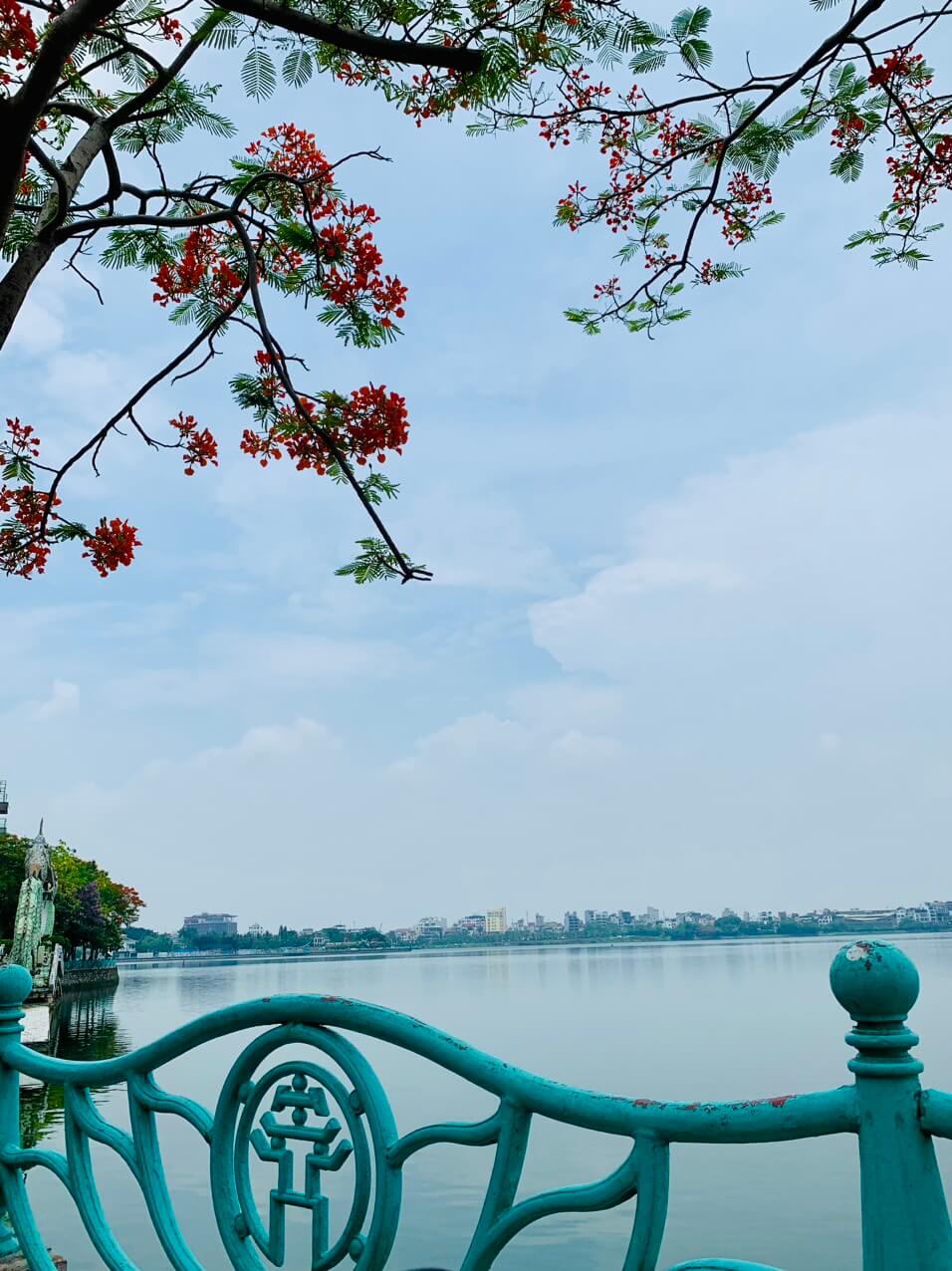 Hồ Tây - Một nét thi vị giữa lòng Hà Nội