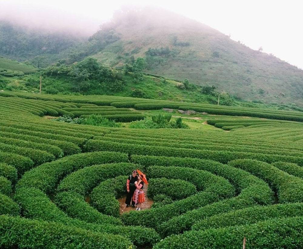 Đồi Chè trái tim