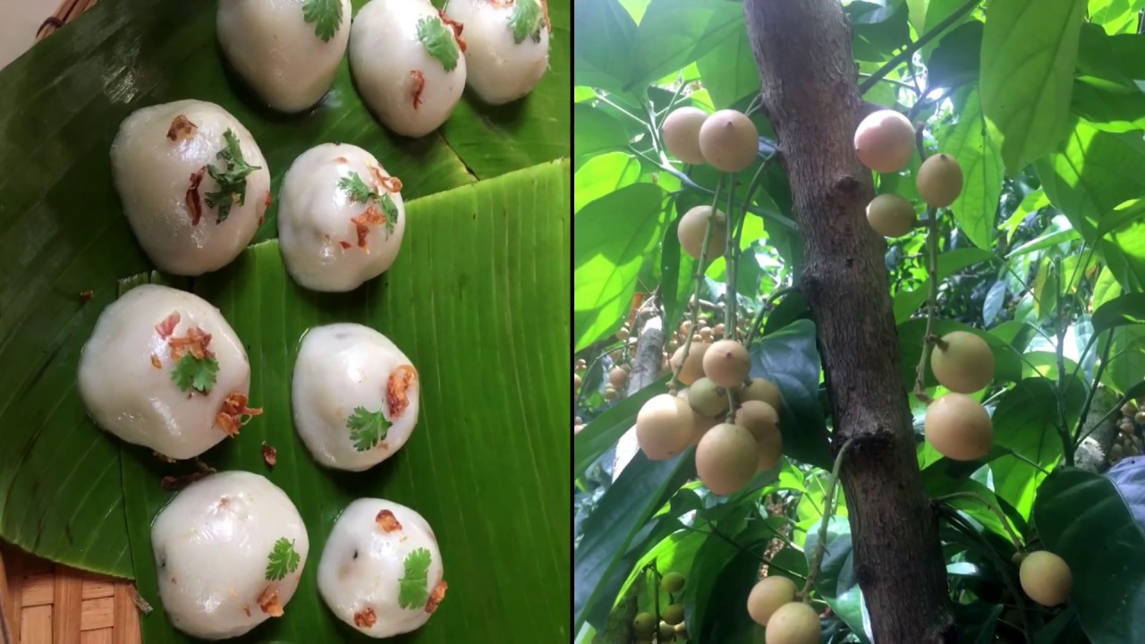 Vườn trái cây 9 Hồng