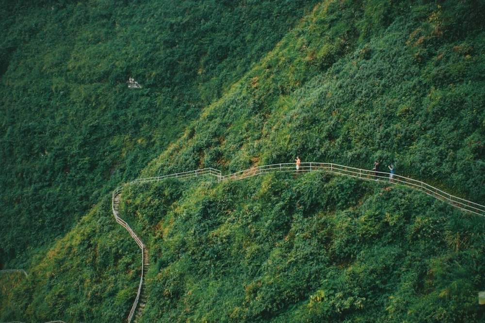 Đoạn đường trekking tại vách núi thần Hà Giang chìm trong màu xanh của cây cối mát rượi