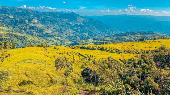 Ruộng Bậc Thang Hồng Thái