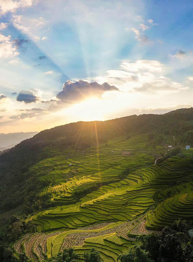 Ruộng Bậc Thang Hồng Thái