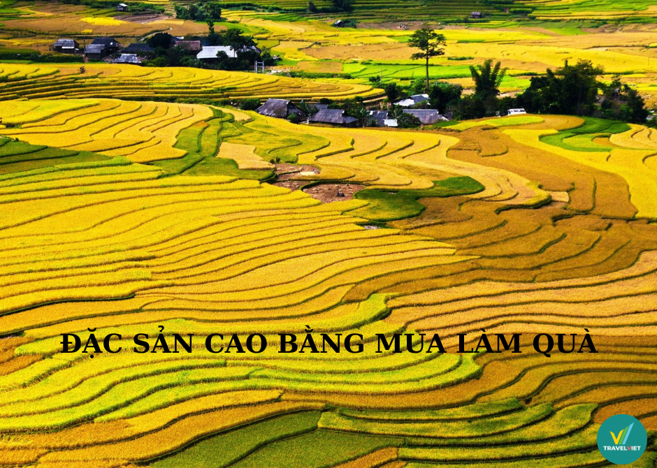 What to buy as a gift when traveling to Cao Bang?