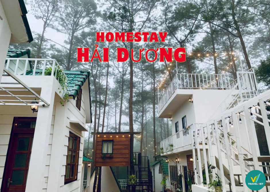 Top 8 homestays in Hai Duong with beautiful views and good prices - Save now!