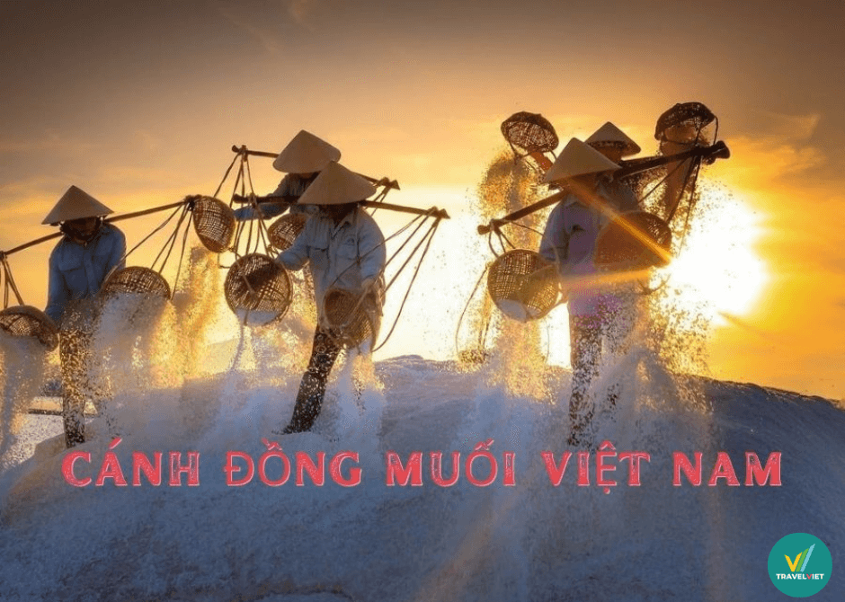 越南不可错过的12大最美盐田