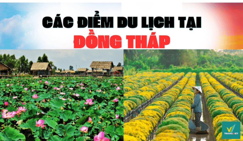 Top 12+ tourist attractions in Dong Thap that will make you fall in love at first sight