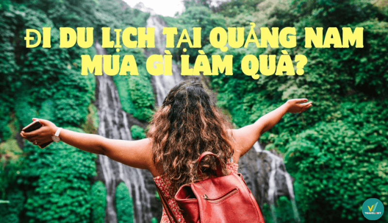 Đi du lịch tại Quảng Nam thì mua gì về làm quà?