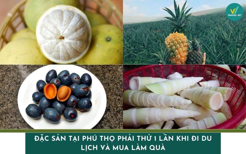 Đặc sản tại Phú Thọ phải thử 1 lần khi đi du lịch và mua làm quà