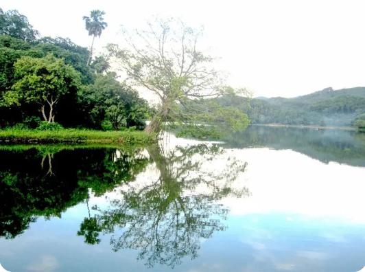 Bức tranh sơn thủy tuyệt mĩ của đầm Ao Châu.