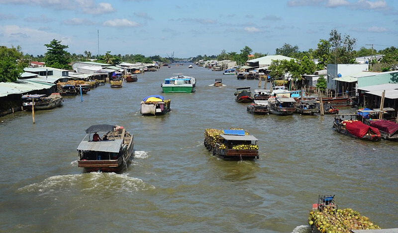 Chợ Nổi Dừa Sông Thom: Khi Cả Một Khúc Sông Chỉ Sống Cùng Trái Dừa
