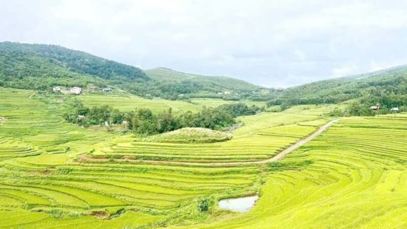 Hill Region Terraced Field Festival 2025