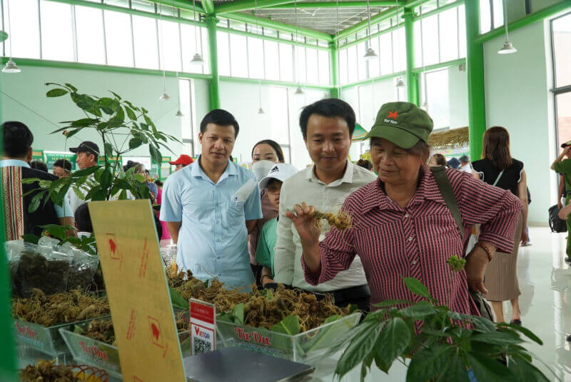 The Seventh Ngoc Linh Ginseng Festival
