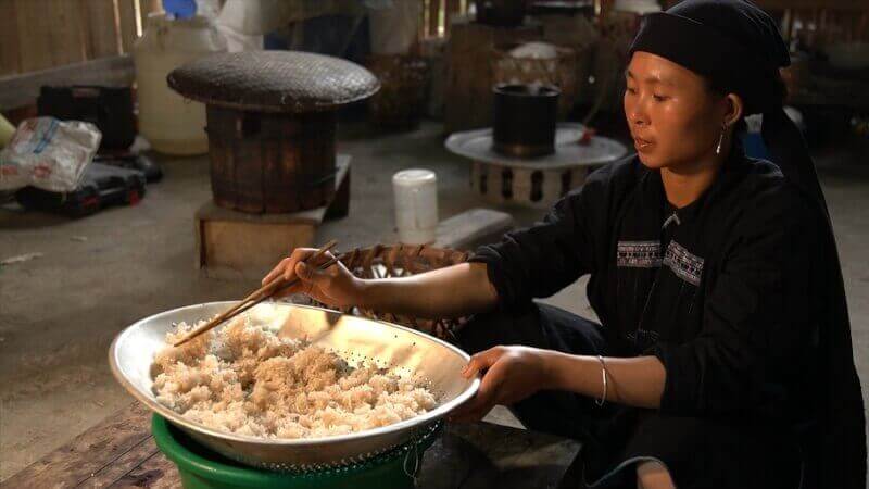 테트 홀리데이