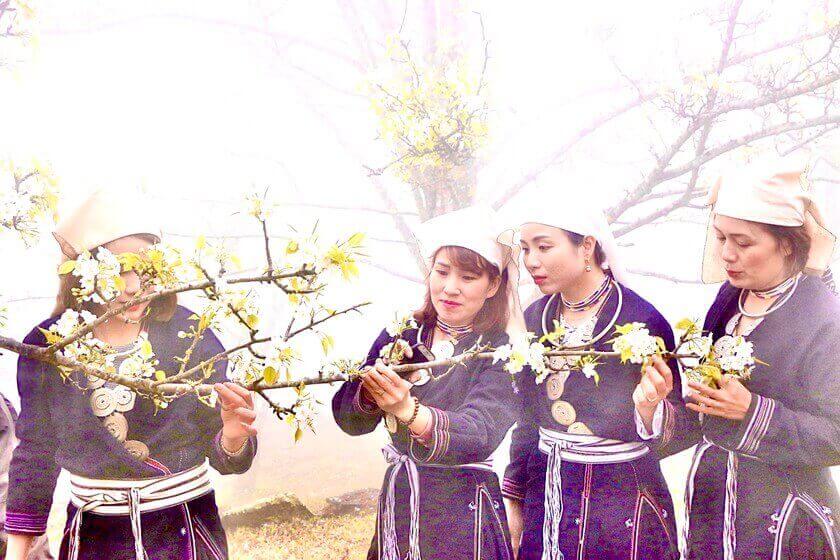 Huong Na Hang的节2025年 - 纯白梨花季节