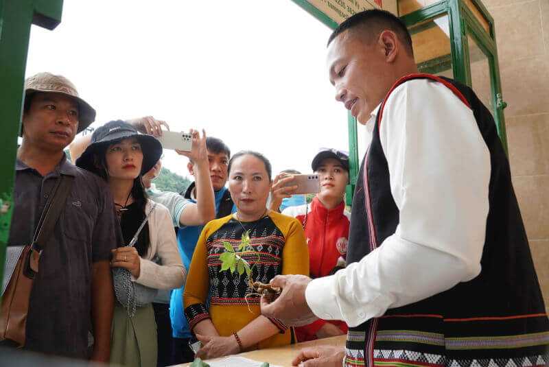 The Seventh Ngoc Linh Ginseng Festival