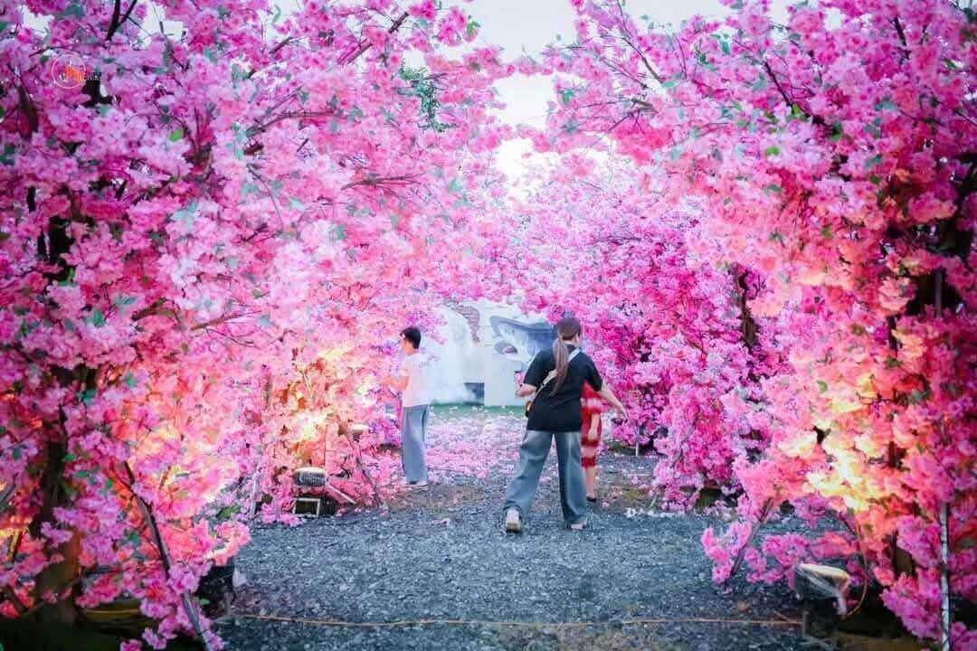 태국 Nguyen Love Festival
