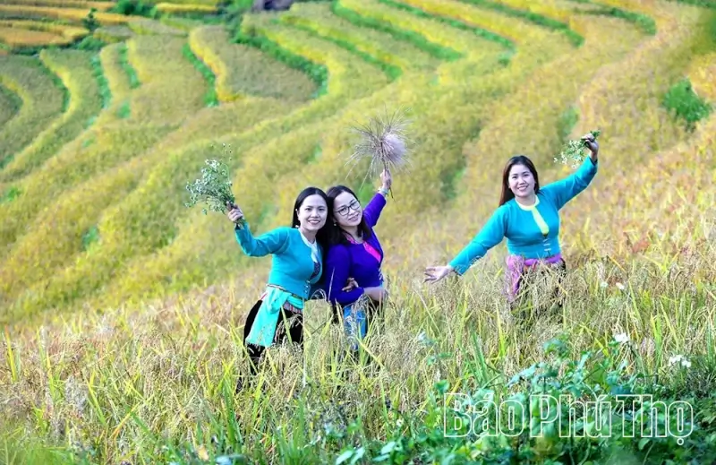Hill Region Terraced Field Festival 2025