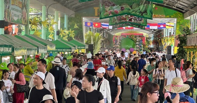 2025年のサザンフルーツフェスティバル