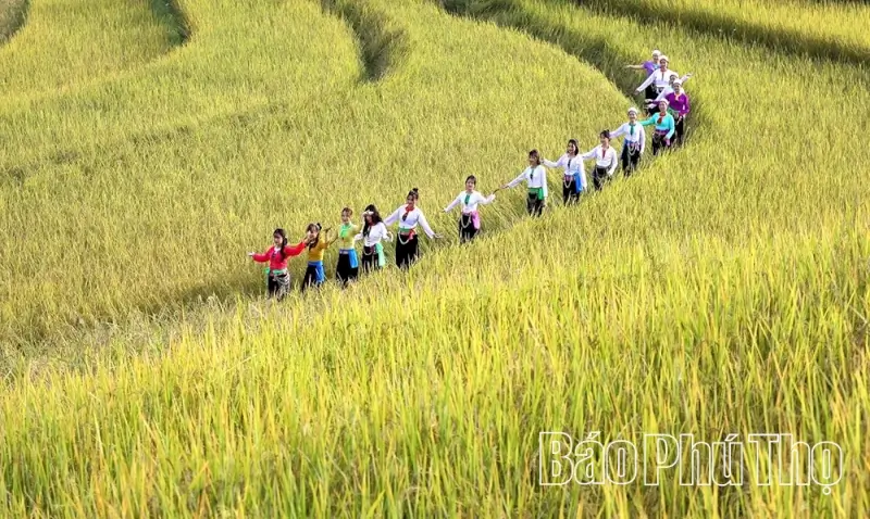 Hill Region Terraced Field Festival 2025