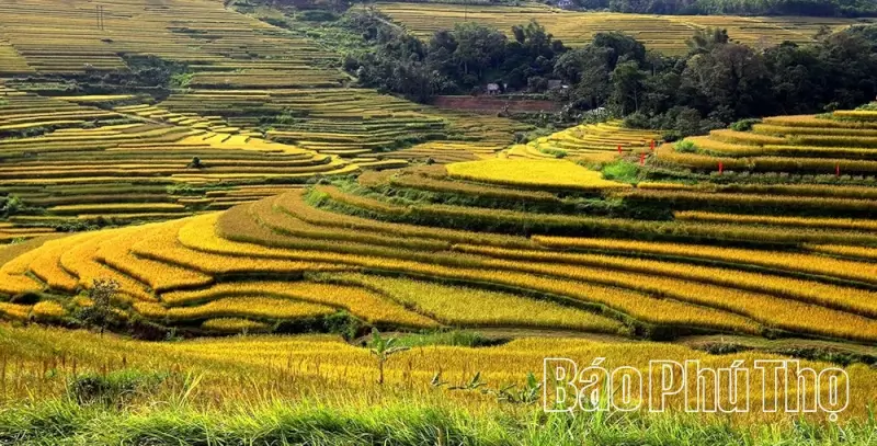 Hill Region Terraced Field Festival 2025