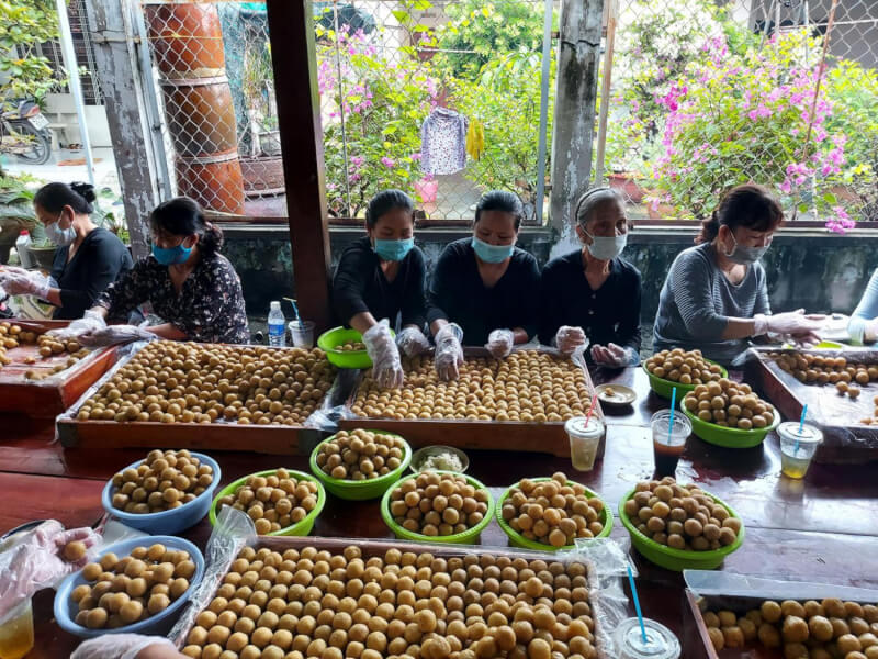 Trung Cuu Festival