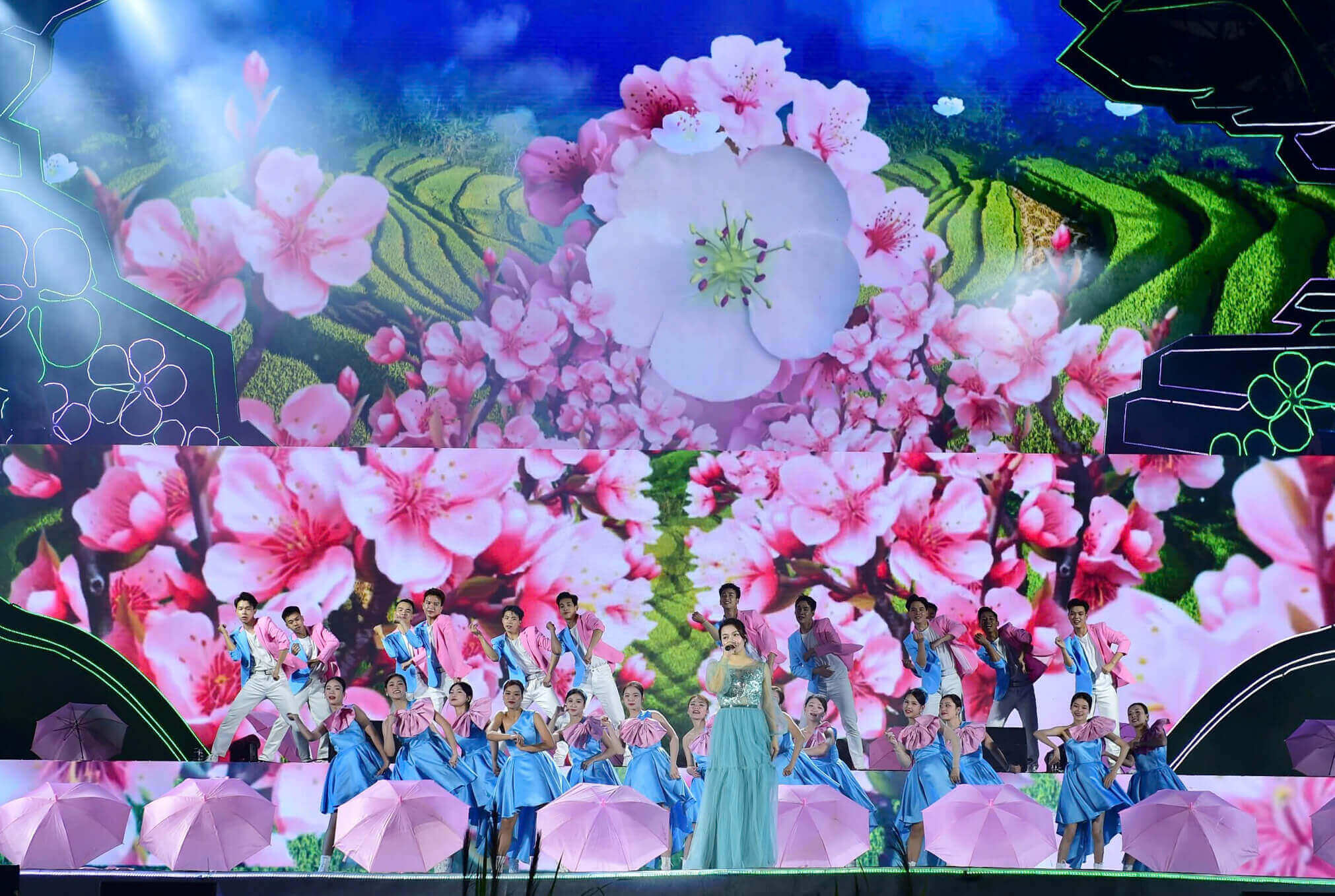 Huong Na Hang的节2025年 - 纯白梨花季节