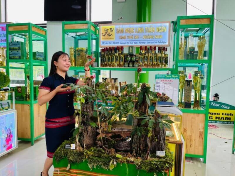 The Seventh Ngoc Linh Ginseng Festival