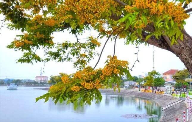 Lễ hội Tam Kỳ