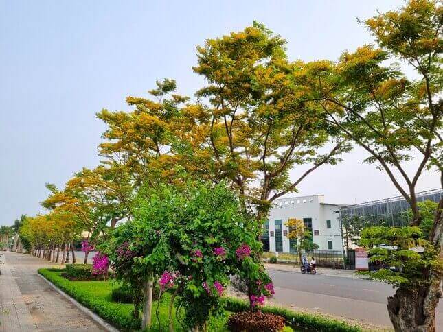 Lễ hội Tam Kỳ