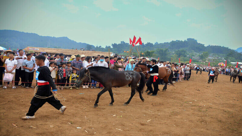 赛马节“ pu ta leng”马